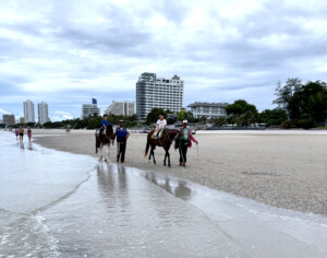 HH Beach ponies