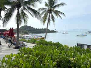 Hike- Living Like I'm Dying