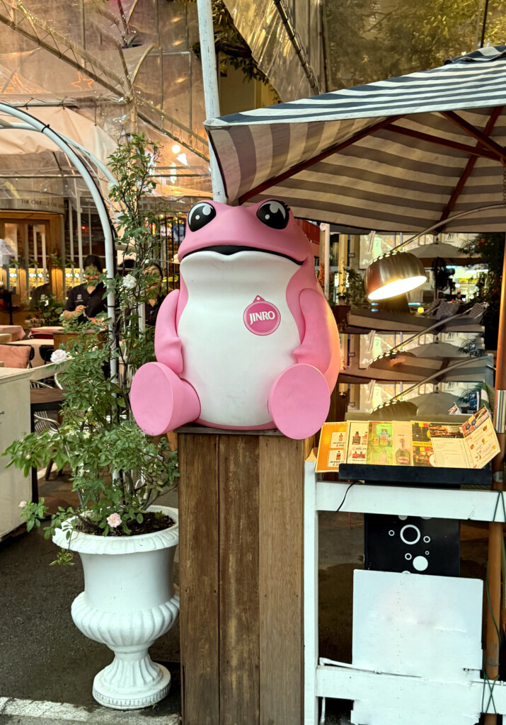 Pink Frog
