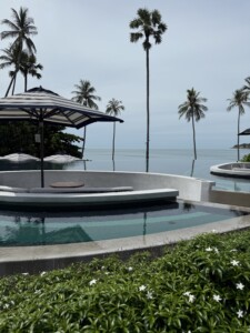 Baht, Bucks, and Butterfly Wings.. 1 blog