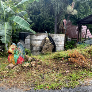 Baht, Bucks, and Butterfly Wings.. 7 ks