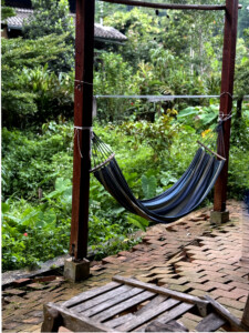 Meditation Retreat and Mass Insecticide.. 16 Hammock PP