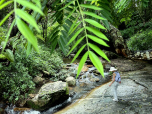 Kool photo from Kris