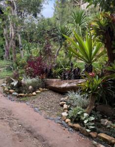 Meditation Retreat and Mass Insecticide.. 10 Landscape PaPae