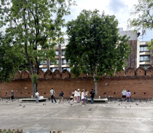 Old City Wall with Pigeons  – living like I'm dying