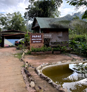 Meditation Retreat and Mass Insecticide.. 8 PaPae Meditation Retreat