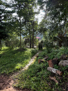 Meditation Retreat and Mass Insecticide.. 17 PaPae Trail