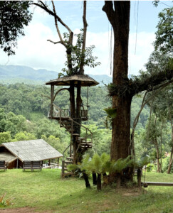 Meditation Retreat and Mass Insecticide.. 13 Perch Pa Pae