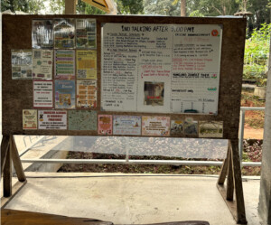 Meditation Retreat and Mass Insecticide.. 12 SChedule board Pa Pae