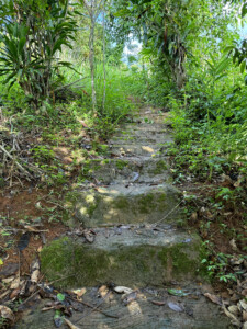 Meditation Retreat and Mass Insecticide.. 11 Steps PP