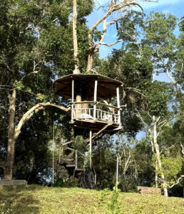 Meditation Retreat and Mass Insecticide.. 15 Tree House PP