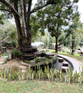 Meditation Retreat and Mass Insecticide.. 2 Water Feature PP