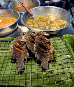 chiang mai food tour fish market