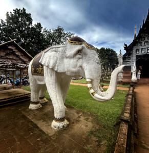 elephant lok molee living like im dying 2