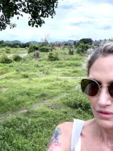 Living Like I'm Dying: Wild Dogs, Wounded Elephants, and What Comes Next.. 12 me