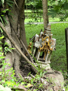 tilted spirit house living like im dying