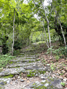 yellow brick road Chiang Mai