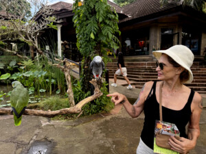 bali bird park me gray living like im dying