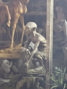 From Wine Deprivation to Jungle Exhilaration: My Wildest Days in Ubud 5 living like im dying