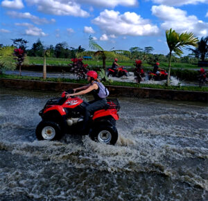 From Wine Deprivation to Jungle Exhilaration: My Wildest Days in Ubud 15 living like im dying best time atv