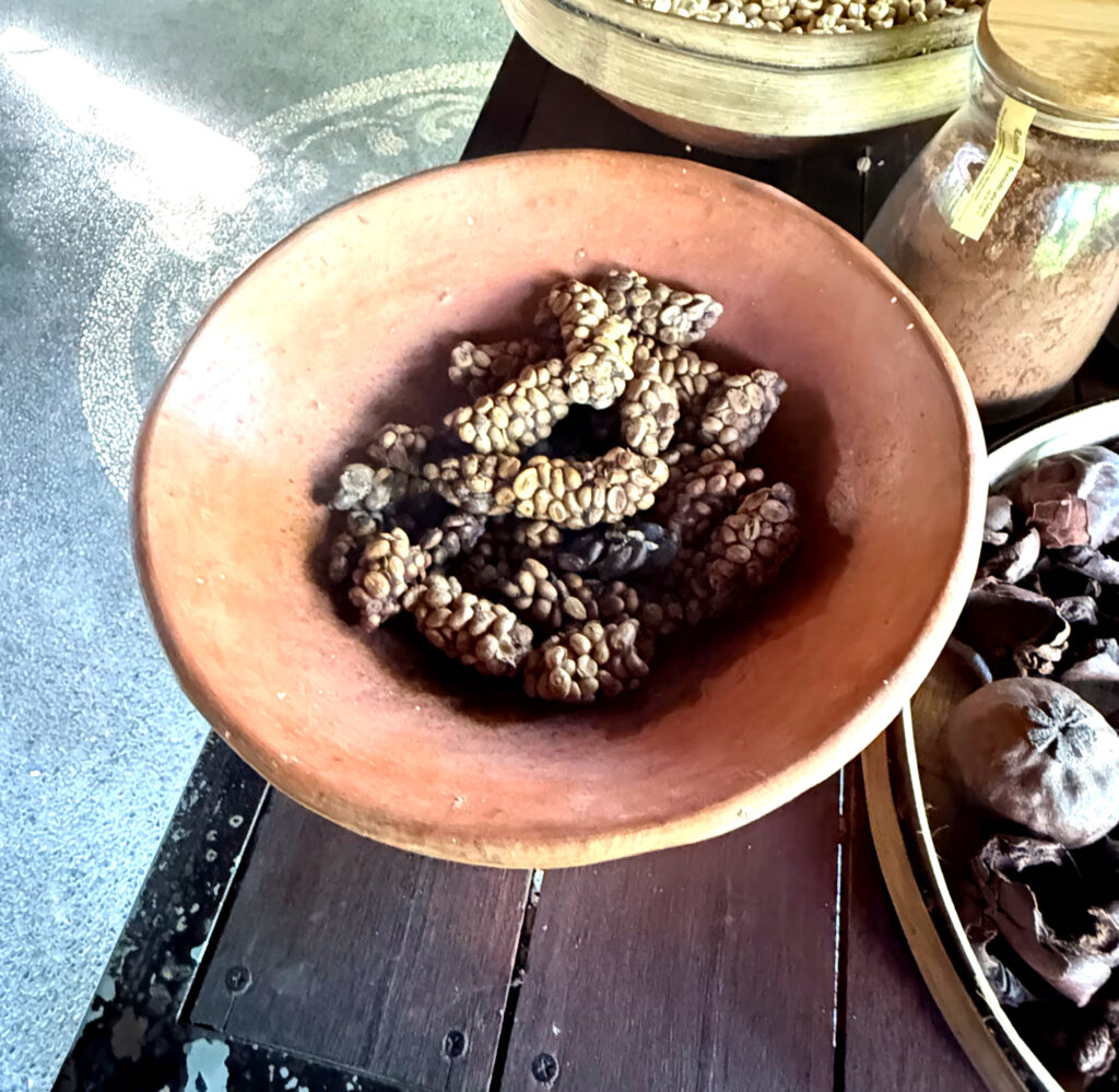 Ubud Adventures: poop coffee