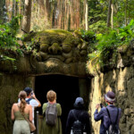 living like im dying monkey forest guardian