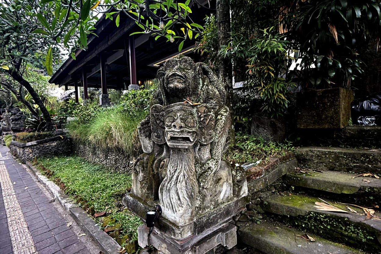 Bali Monkey Forest Ubud-living like im dying