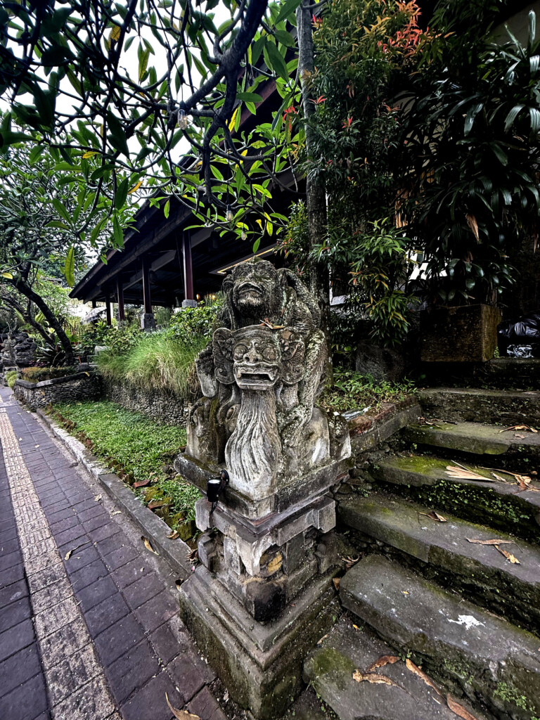 Bali Monkey Forest Ubud-living like im dying