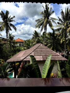 living like im dying my view2