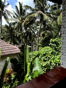 living like im dying my view3