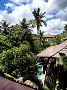 living like im dying my view4