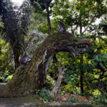 living like im dying serpent monkey forest ubud