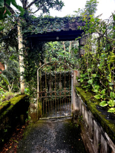 living like im dying welcome bali