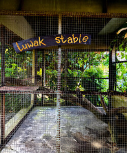 From Wine Deprivation to Jungle Exhilaration: My Wildest Days in Ubud 4 lld