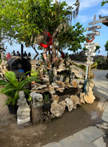 living like im dying direction sanur