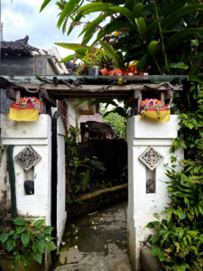 living like im dying entry putu