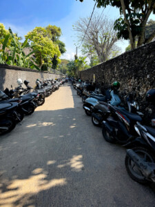 living like im dying good parking sanur