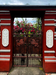 living like im dying putu neighbor