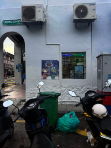 living like im dying unesco george town malaysia