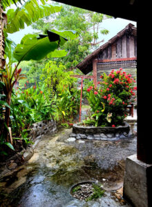 coconut langkawi malaysia living like im dying