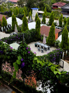 living like im dying below cameron highlands