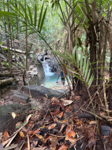 Living Like I'm Dying