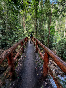 living like im dying bridge seven wells waterfall malaysia
