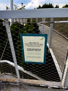 living like im dying curtis crest tree walk penang hill