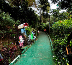 living like im dying disney walk penang hill