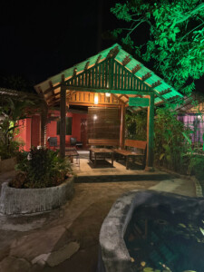 living like im dying entry coconut langkawi