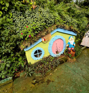 living like im dying grumpy penang hill