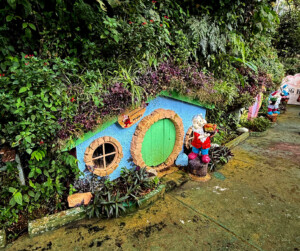 living like im dying happy penang hill