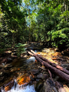 living like im dying logs seven wells waterfall