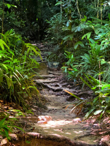 living like im dying off road seven wells waterfall